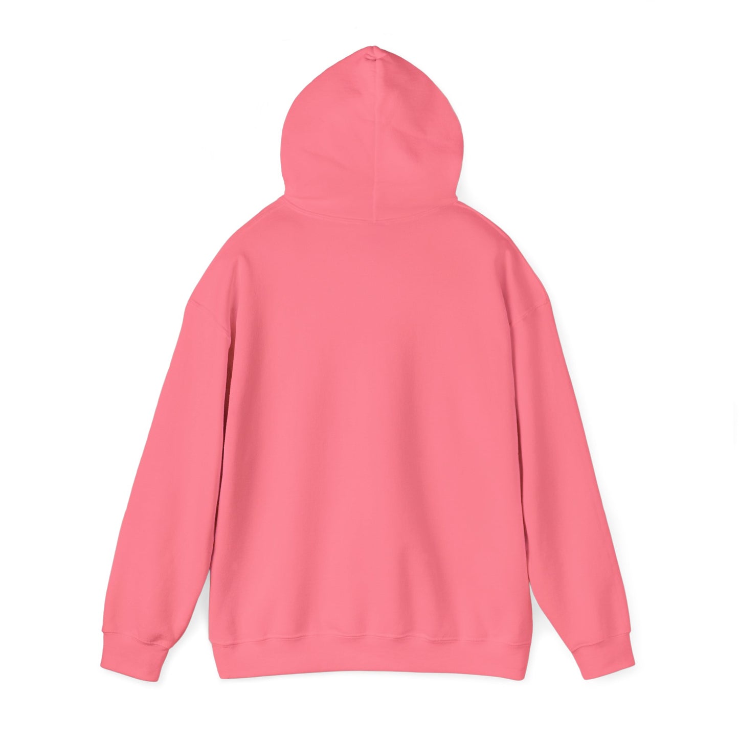 Pilot Hoodie