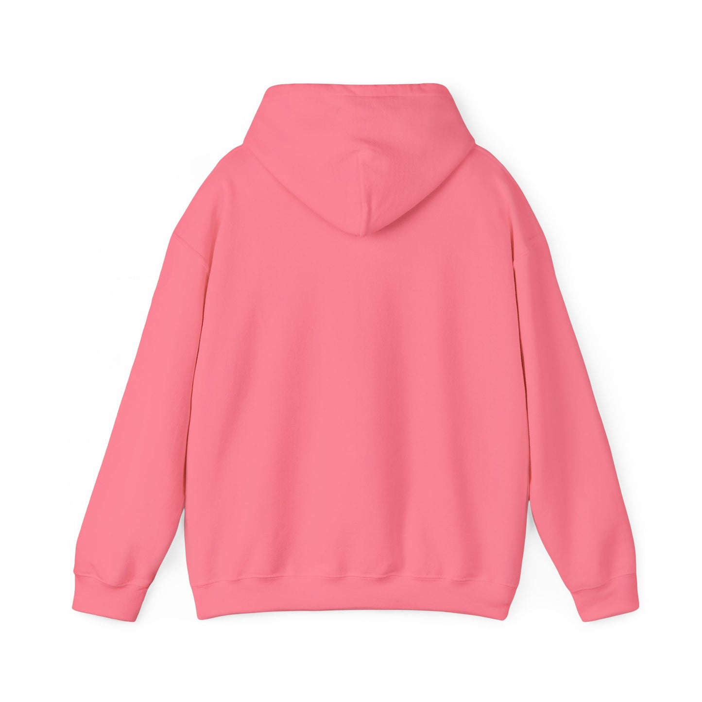 Pilot Hoodie