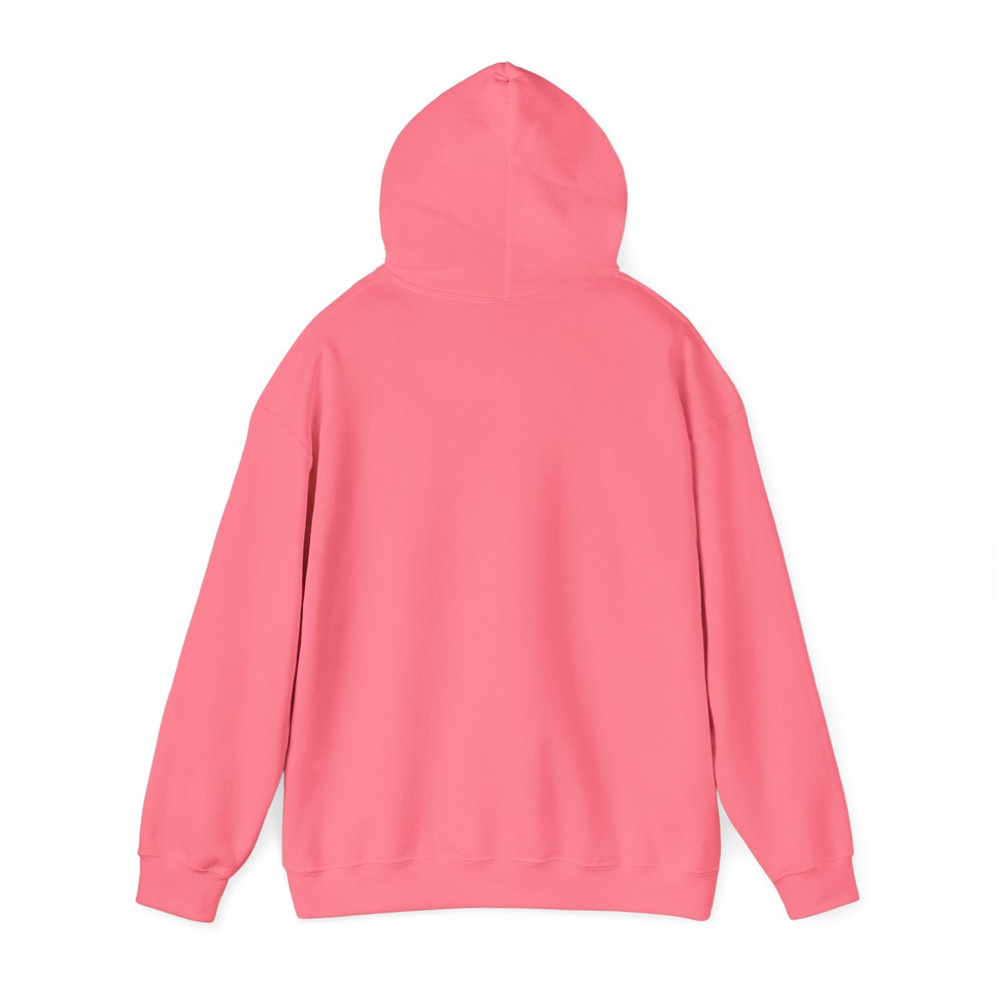 Pilot Hoodie