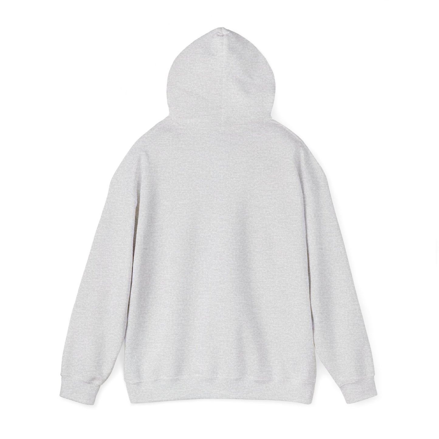 Pilot Hoodie